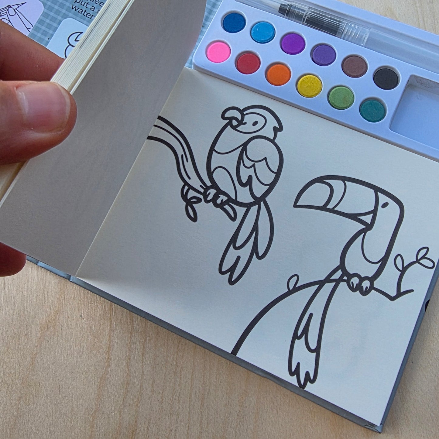 Animal Kingdom Watercolor Kit